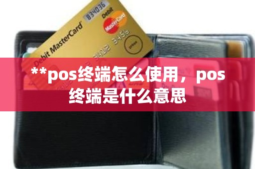 **pos终端怎么使用，pos终端是什么意思