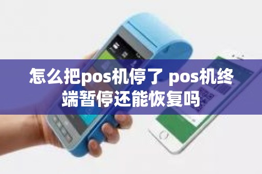 怎么把pos机停了 pos机终端暂停还能恢复吗