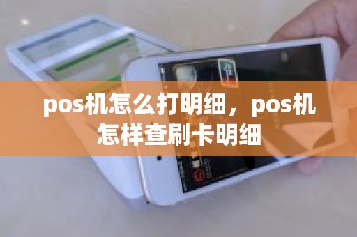 pos机怎么打明细，pos机怎样查刷卡明细