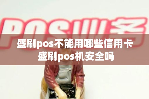 盛刷pos不能用哪些信用卡 盛刷pos机安全吗