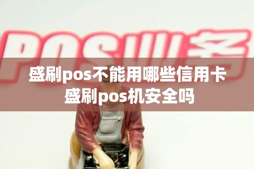 盛刷pos不能用哪些信用卡 盛刷pos机安全吗