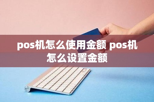 pos机怎么使用金额 pos机怎么设置金额