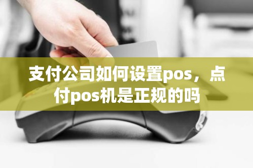 支付公司如何设置pos，点付pos机是正规的吗