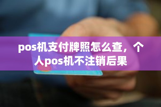 pos机支付牌照怎么查，个人pos机不注销后果