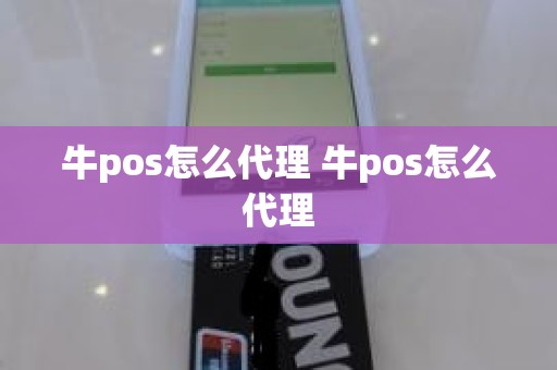 牛pos怎么代理 牛pos怎么代理