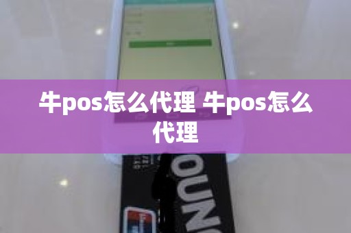 牛pos怎么代理 牛pos怎么代理