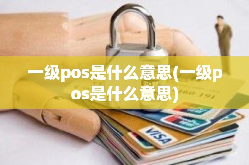 一级pos是什么意思(一级pos是什么意思)