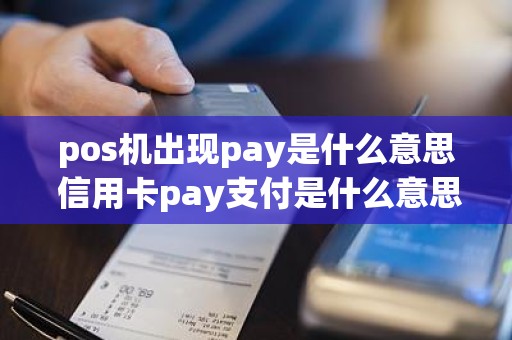 pos机出现pay是什么意思 信用卡pay支付是什么意思