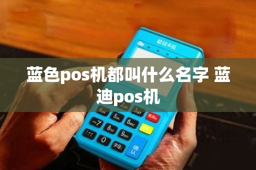 蓝色pos机都叫什么名字 蓝迪pos机