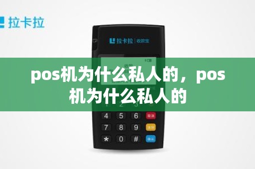 pos机为什么私人的，pos机为什么私人的