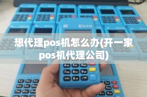 想代理pos机怎么办(开一家pos机代理公司)