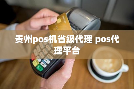 贵州pos机省级代理 pos代理平台