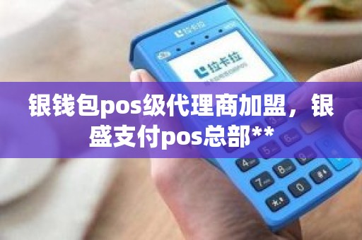 银钱包pos级代理商加盟，银盛支付pos总部**