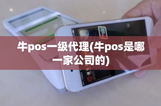 牛pos一级代理(牛pos是哪一家公司的)