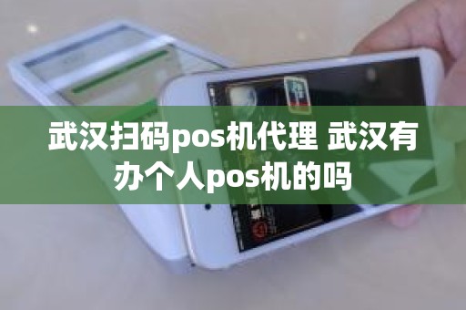 武汉扫码pos机代理 武汉有办个人pos机的吗