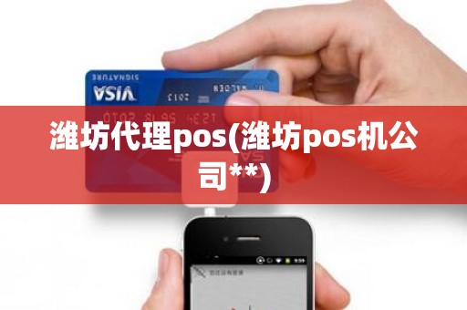 潍坊代理pos(潍坊pos机公司**)