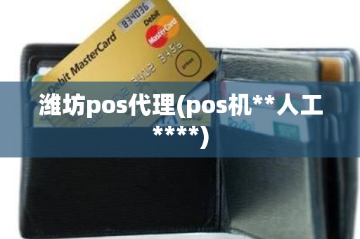 潍坊pos代理(pos机**人工****)