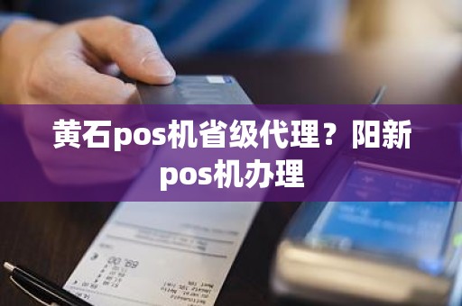 黄石pos机省级代理？阳新pos机办理