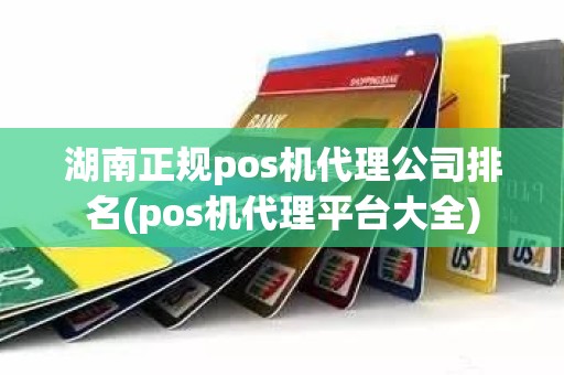 湖南正规pos机代理公司排名(pos机代理平台大全)