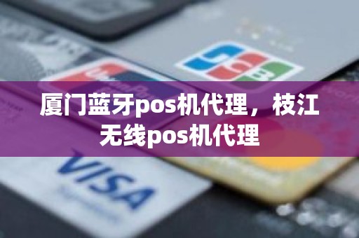 厦门蓝牙pos机代理，枝江无线pos机代理