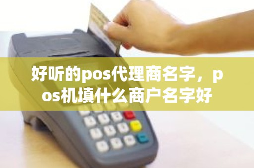 好听的pos代理商名字，pos机填什么商户名字好