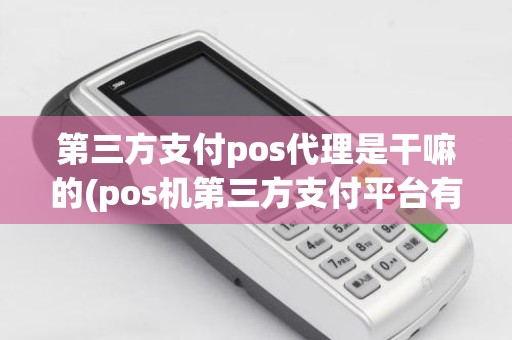 第三方支付pos代理是干嘛的(pos机第三方支付平台有哪些)