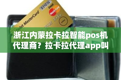 浙江内蒙拉卡拉智能pos机代理商？拉卡拉代理app叫什么