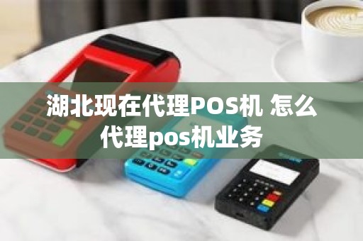 湖北现在代理POS机 怎么代理pos机业务