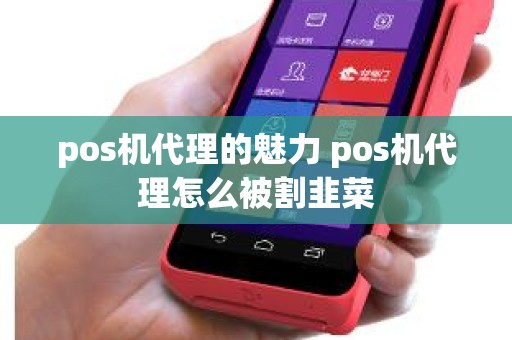 pos机代理的魅力 pos机代理怎么被割韭菜