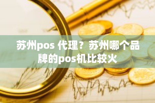 苏州pos 代理？苏州哪个品牌的pos机比较火