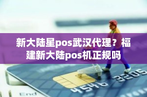 新大陆星pos武汉代理？福建新大陆pos机正规吗