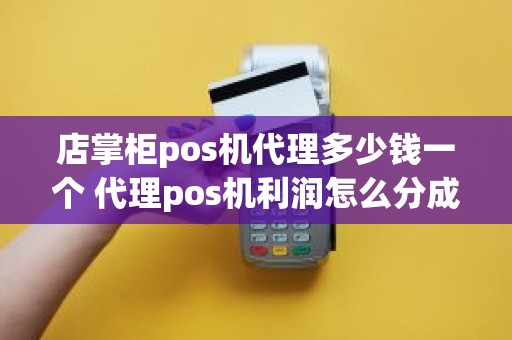 店掌柜pos机代理多少钱一个 代理pos机利润怎么分成