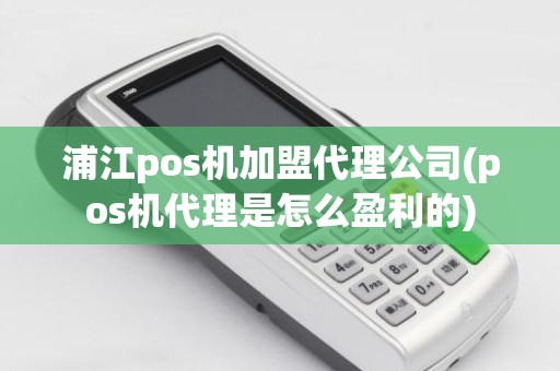 浦江pos机加盟代理公司(pos机代理是怎么盈利的)