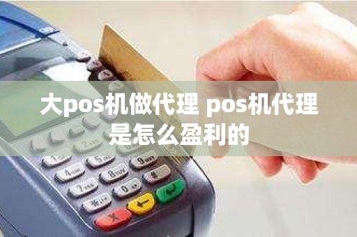 大pos机做代理 pos机代理是怎么盈利的