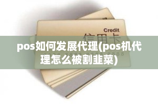 pos如何发展代理(pos机代理怎么被割韭菜)