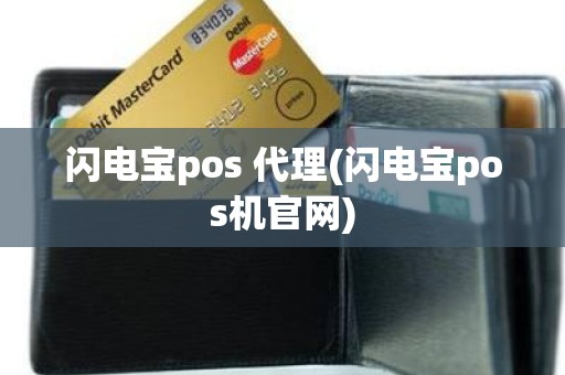 闪电宝pos 代理(闪电宝pos机官网)