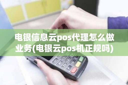 电银信息云pos代理怎么做业务(电银云pos机正规吗)