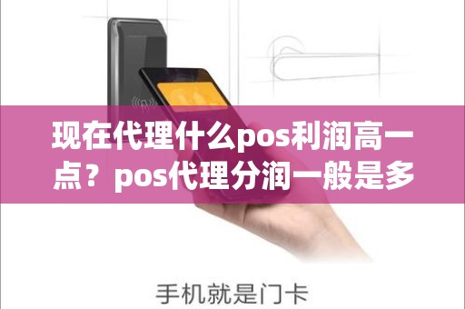 现在代理什么pos利润高一点？pos代理分润一般是多少