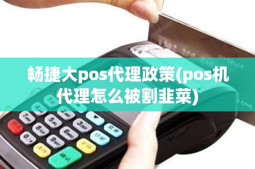 畅捷大pos代理政策(pos机代理怎么被割韭菜)