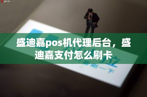 盛迪嘉pos机代理后台，盛迪嘉支付怎么刷卡