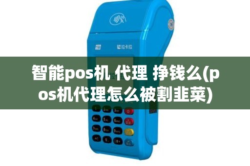 智能pos机 代理 挣钱么(pos机代理怎么被割韭菜)