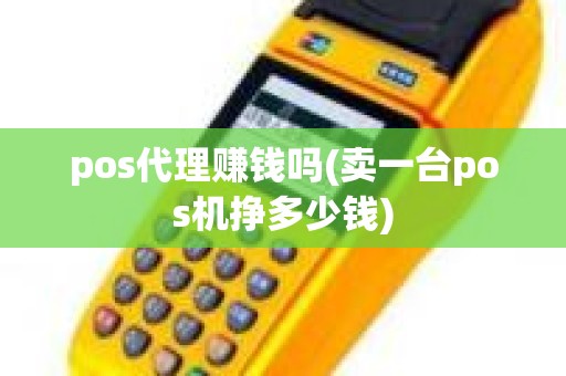 pos代理赚钱吗(卖一台pos机挣多少钱)