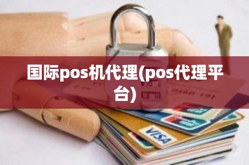 国际pos机代理(pos代理平台)