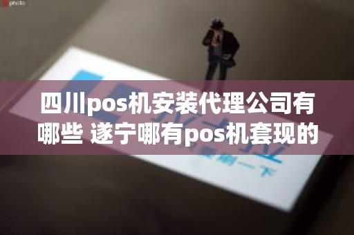 四川pos机安装代理公司有哪些 遂宁哪有pos机套现的公司