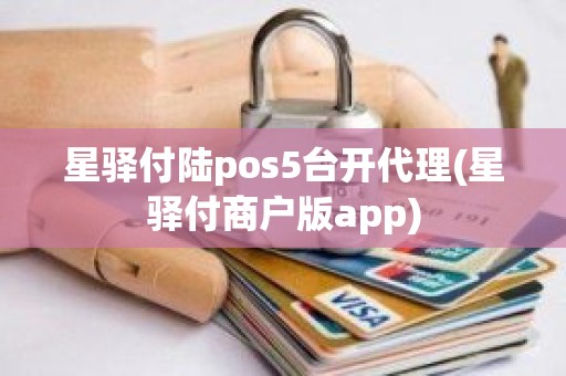 星驿付陆pos5台开代理(星驿付商户版app)