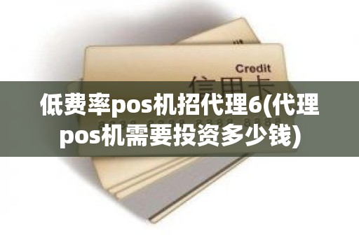 低费率pos机招代理6(代理pos机需要投资多少钱)