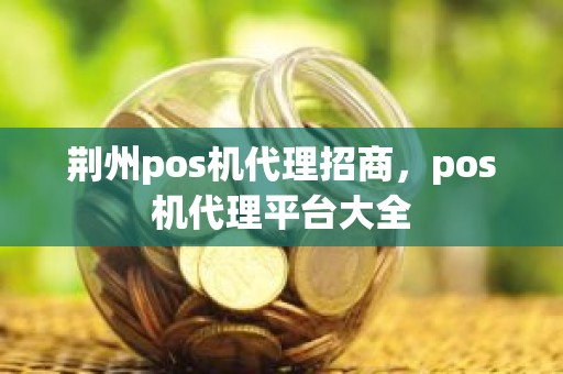 荆州pos机代理招商，pos机代理平台大全