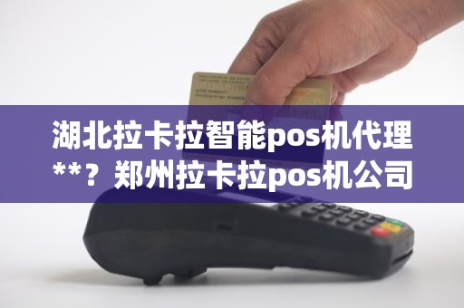 湖北拉卡拉智能pos机代理**？郑州拉卡拉pos机公司**