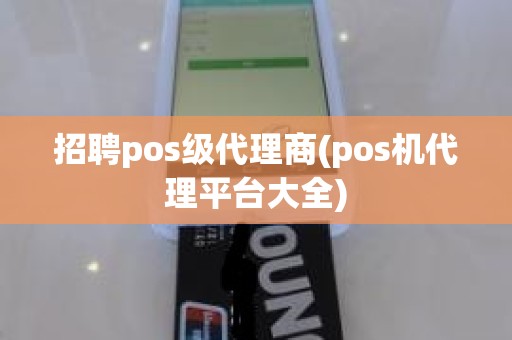 招聘pos级代理商(pos机代理平台大全)