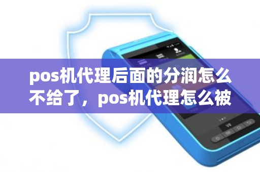 pos机代理后面的分润怎么不给了，pos机代理怎么被割韭菜